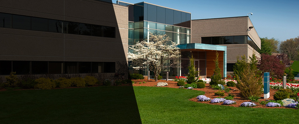 Ackerman Landscapers