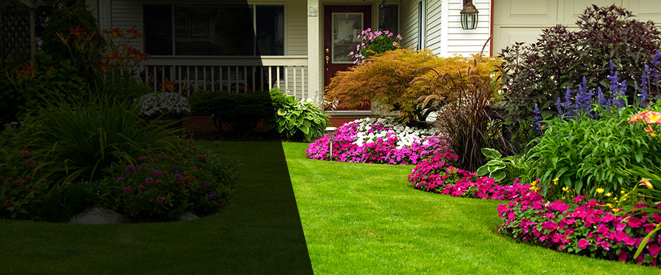 Ackerman Landscapers
