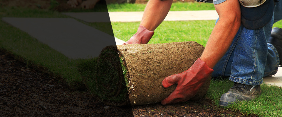 Ackerman Landscapers